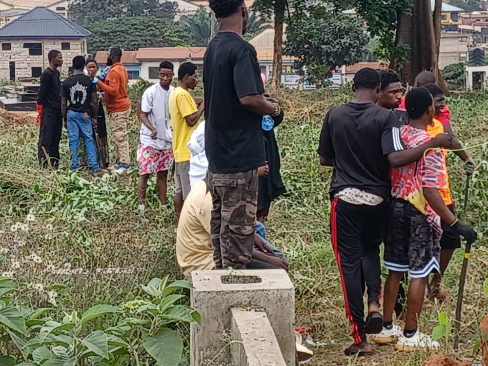 Foundation activities